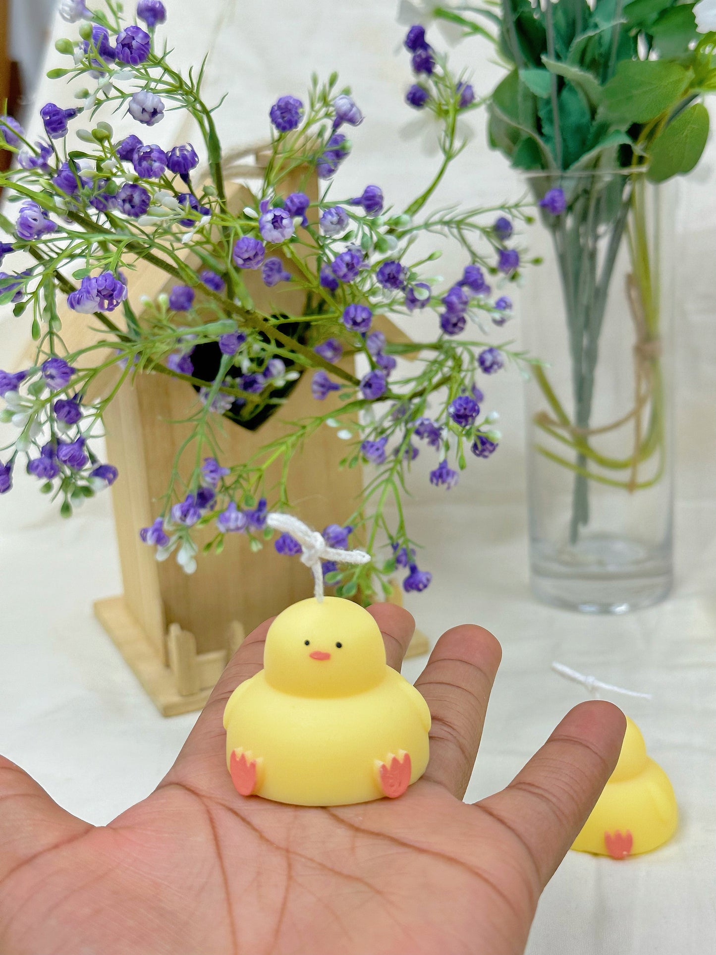 Mini Duck